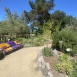 A purple bench is situated in a garden with a tree in the background.