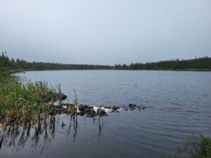 A serene lake with a rocky shore and a few trees in the distance.