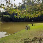 A serene scene of a lake with a bench and picnic table overlooking the water.