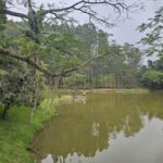 A serene scene of a pond with a few people enjoying the peaceful surroundings.