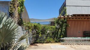 A shopping cart is parked outside a building with a fence and a vine growing on it.