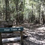 A sign for the River Track is in the woods.