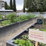 A sign in a garden warns visitors not to pick any plants.