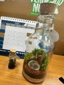 A small plant is growing in a glass jar, with a calendar in the background.