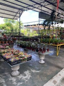 A table full of flowers sits outside a store.