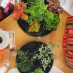 A table with two black pots filled with various plants, including a potted plant with a leafy green plant and a potted plant with a leafy green plant and a potted plant with a leafy green plant.