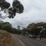 A tree-lined street with a cloudy sky overhead.