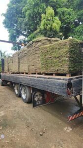 A truck is hauling a load of grass, with a picture of Jesus on the back of the truck.