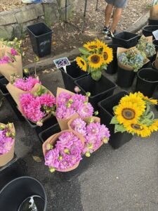 A variety of flowers are displayed in pots, including sunflowers and purple flowers.