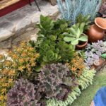 A variety of plants are displayed in a garden, including a potted plant with a vase on top.