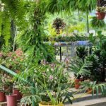 A variety of potted plants are displayed on a stairway, creating a lush and vibrant atmosphere.