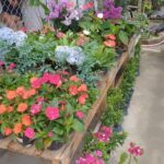 A vibrant display of colorful flowers and lush greenery fills a wooden table and surrounding area, creating a picturesque garden scene.