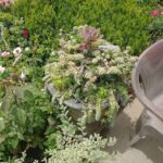 A vibrant garden scene featuring a variety of lush plants, including a hanging basket filled with succulents and a chair nestled among the greenery.