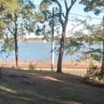 A view of the water with a tree in the foreground.
