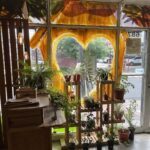 A window display featuring a variety of potted plants and flowers.