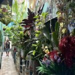 A woman is standing in a hallway filled with various potted plants.