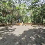 A woman sits on a bench in a park, surrounded by trees and a dirt road.