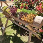 A wooden cart filled with various plants and flowers sits in a garden.