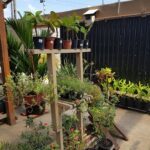 A wooden stand holds a variety of potted plants, including flowers and trees.