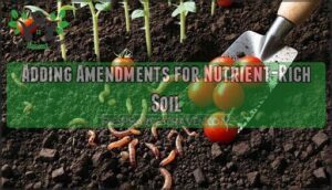 adding amendments for nutrient-rich soil