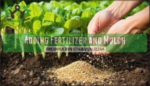 adding fertilizer and mulch