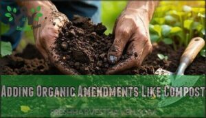 adding organic amendments like compost