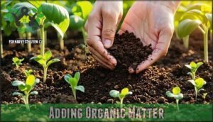 adding organic matter