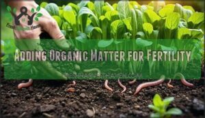 adding organic matter for fertility