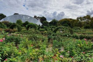 Adelaide Botanic Garden
