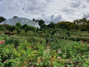 Adelaide Botanic Garden