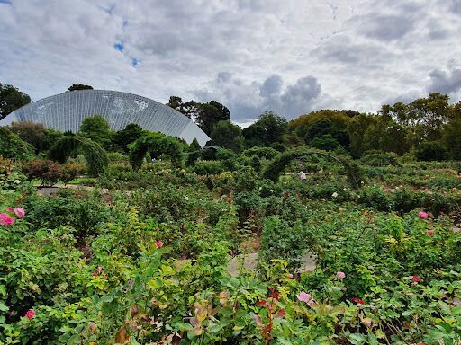 Adelaide Botanic Garden