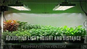 adjusting light height and distance
