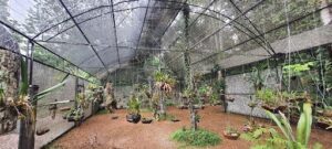 Adolfo Ducke Forest Reserve