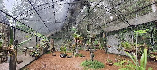 Adolfo Ducke Forest Reserve