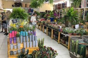 Agroflores Maceió