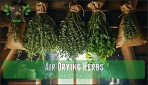 air drying herbs