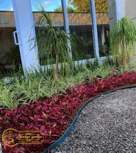 Aladyn Garden