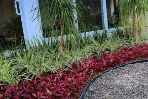 Aladyn Garden