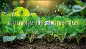 alfalfa meal and seaweed extract