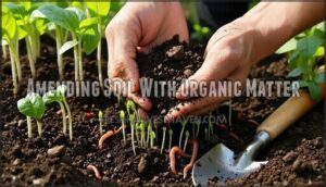 amending soil with organic matter