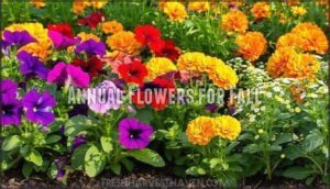 annual flowers for fall