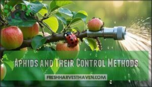 aphids and their control methods