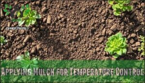 applying mulch for temperature control