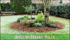 applying organic mulch