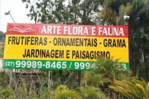 Arte Flora e Fauna