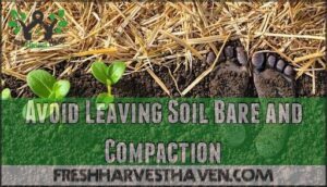avoid leaving soil bare and compaction