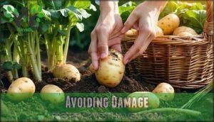 avoiding damage