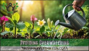 avoiding overwatering