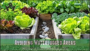 avoiding waterlogged areas