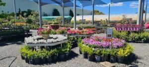 Bayside Garden Centre